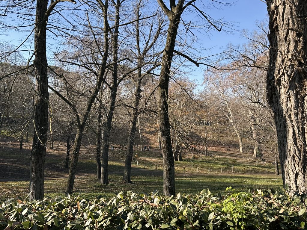 Parque Villa Borghese, Roma: fuente, jardines y árboles, con la Galería Borghese al fondo.