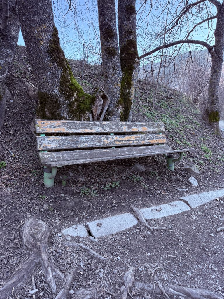 Un banco de madera foto José Cotino Banco de madera situado a mitad del camino entre Garòs y Arties, ideal para descansar durante el paseo por el Valle de Arán