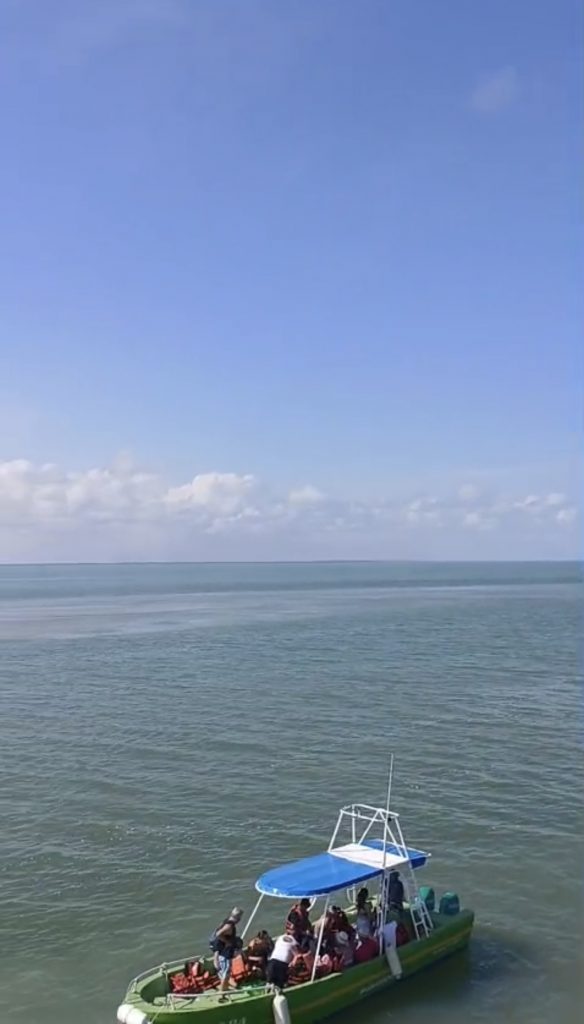 Vista aérea desde el mirador de madera en Isla de la Pasión con lanchas en el agua y la isla rodeada de manglares