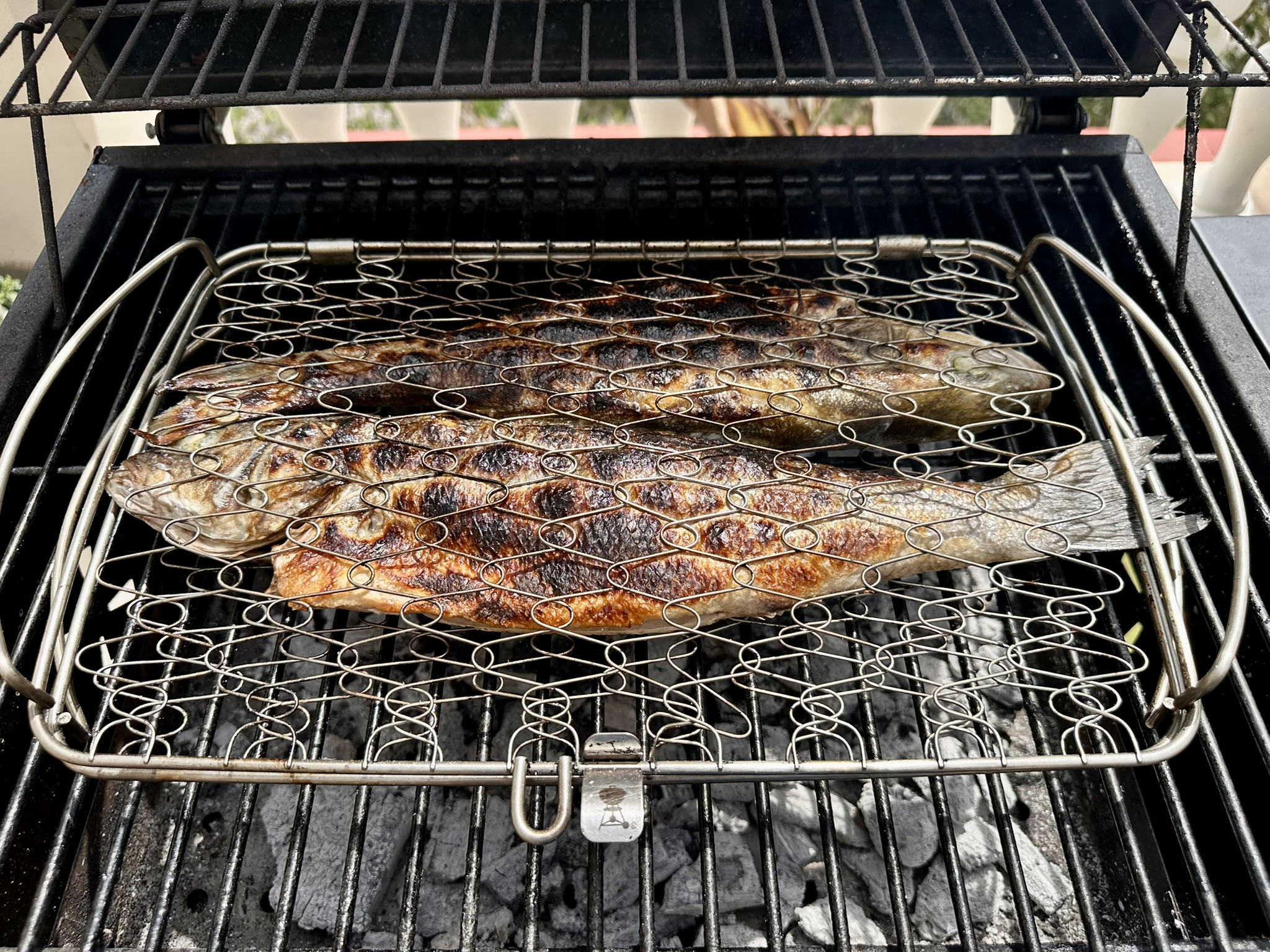 Lubina a la brasa cocinándose en una barbacoa sobre rejilla especial para pescado