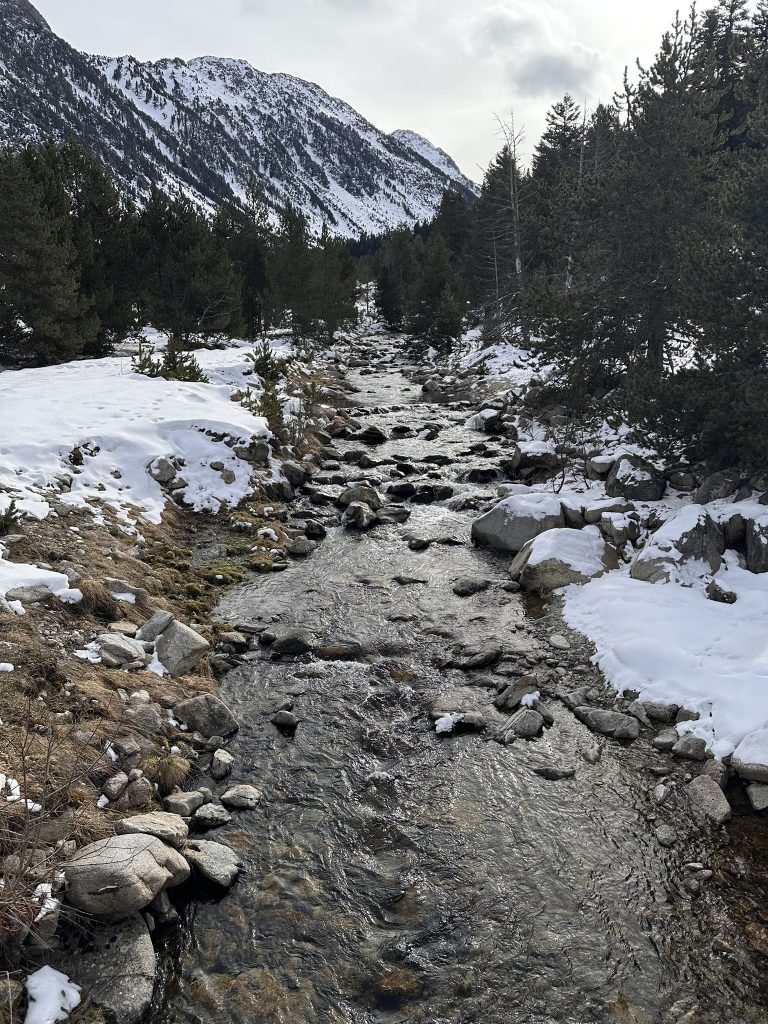Descubre el río en Banhs de Tredós y su entorno natural.