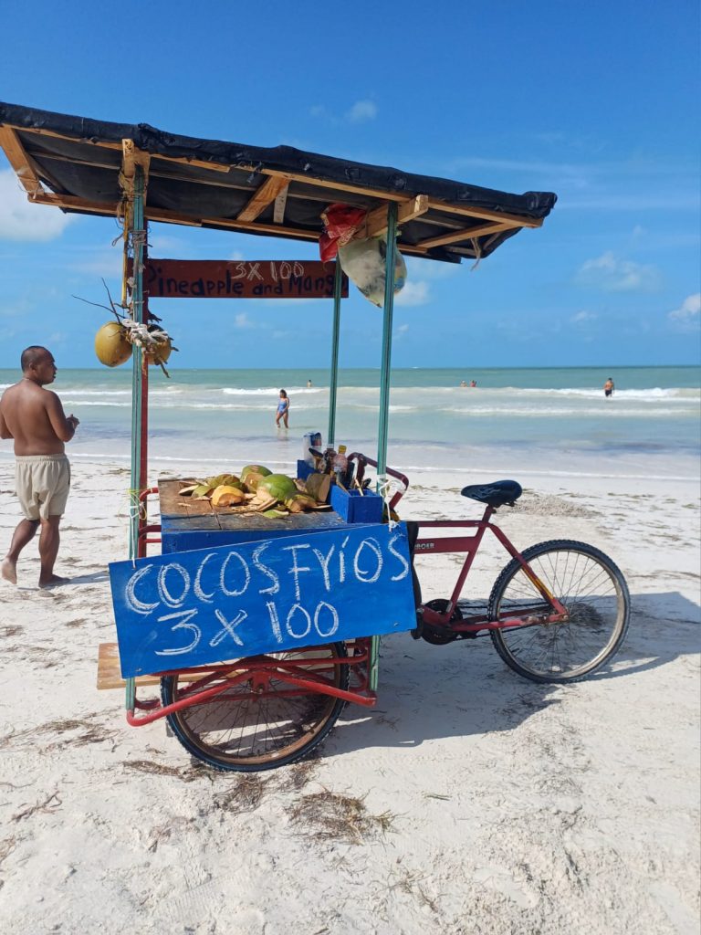 Bicicleta adaptada como puesto ambulante de cocos fríos en la playa de Holbox, con sombrilla y el mar al fondo